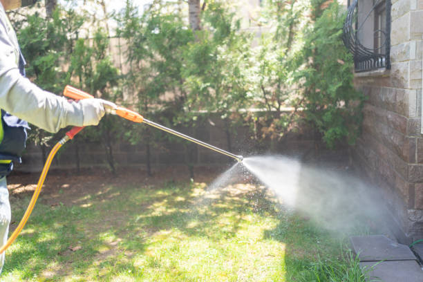 Professional Pest Control in Riverside, ID