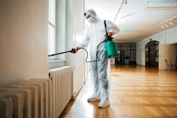 Best Flea Control Services  in Riverse, ID