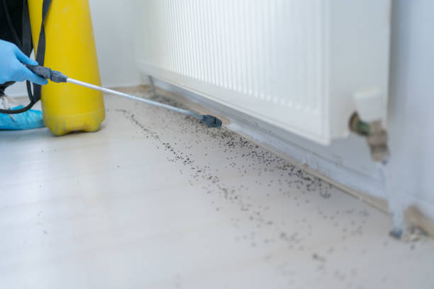 Best Pest Control for Restaurants  in Riverse, ID