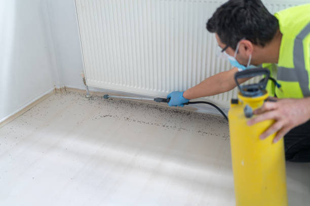 Best Pest Removal Services  in Riverse, ID